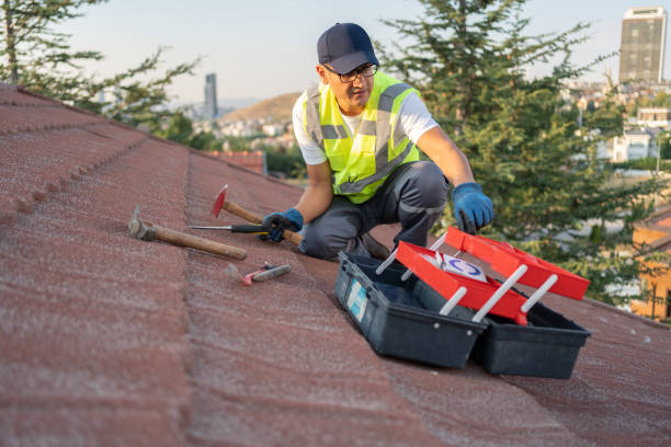 Professional Siding Installation & Repair in Calico Rock, AR